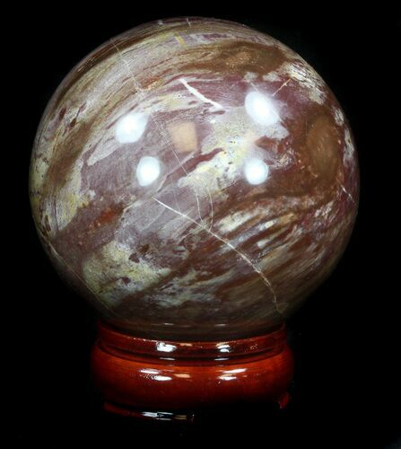 Colorful Petrified Wood Sphere #36971